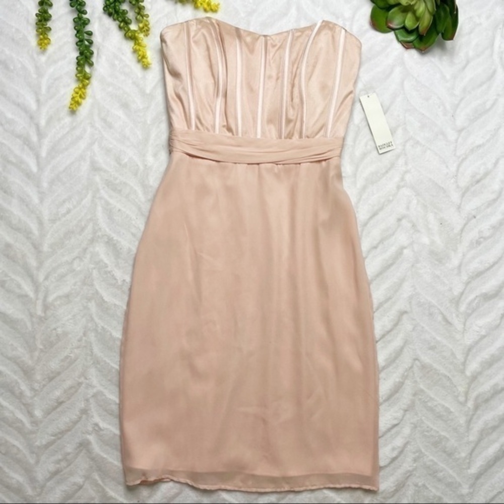 Badgley Mischka Strapless Silk Boned Bustier Corset Slip Dress Blush Peach NWT